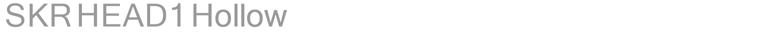 SKR HEAD1 Hollow font preview